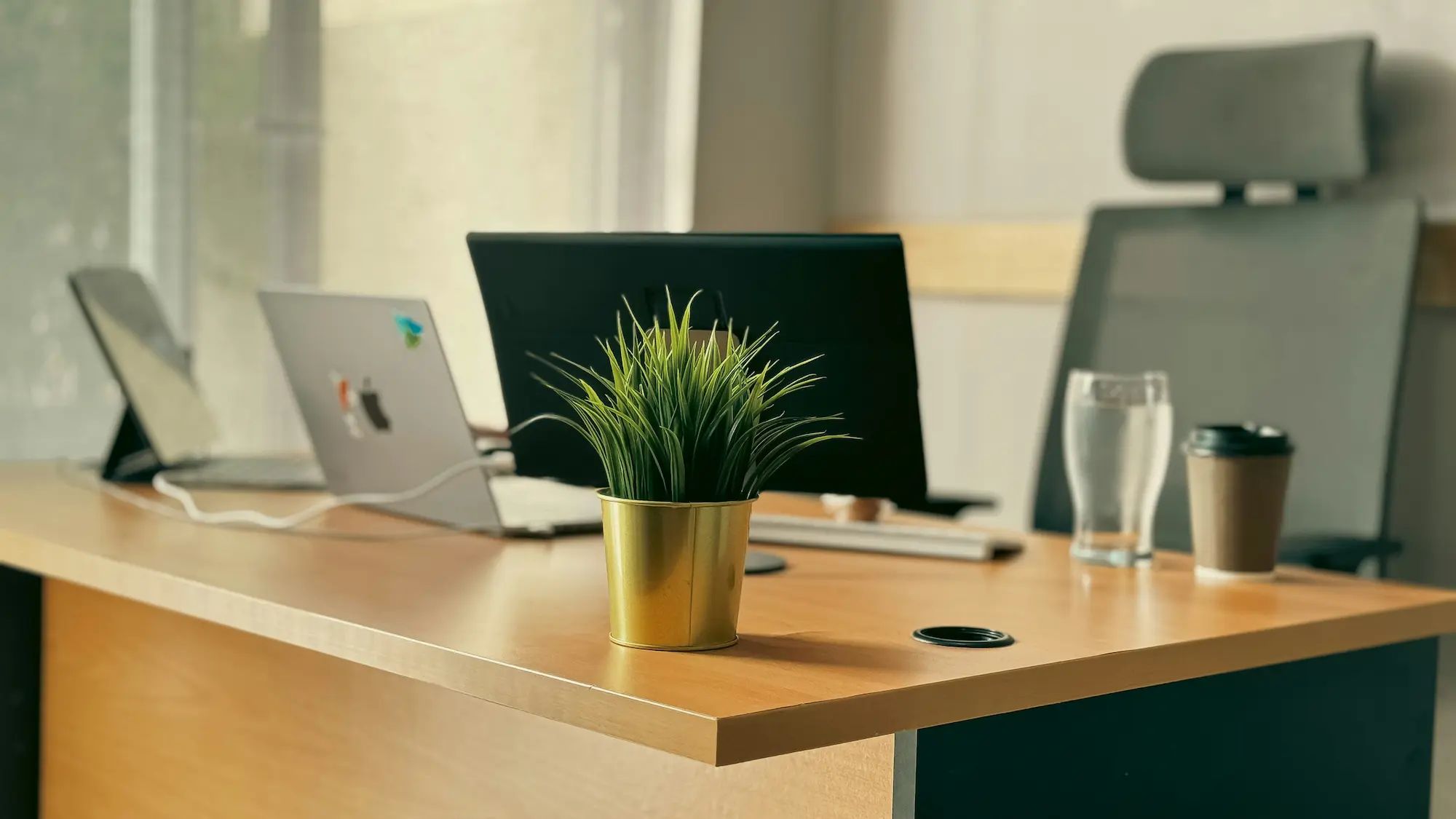 Modern office desk setup with laptops, a potted plant, water glass, coffee cup, and ergonomic chair.